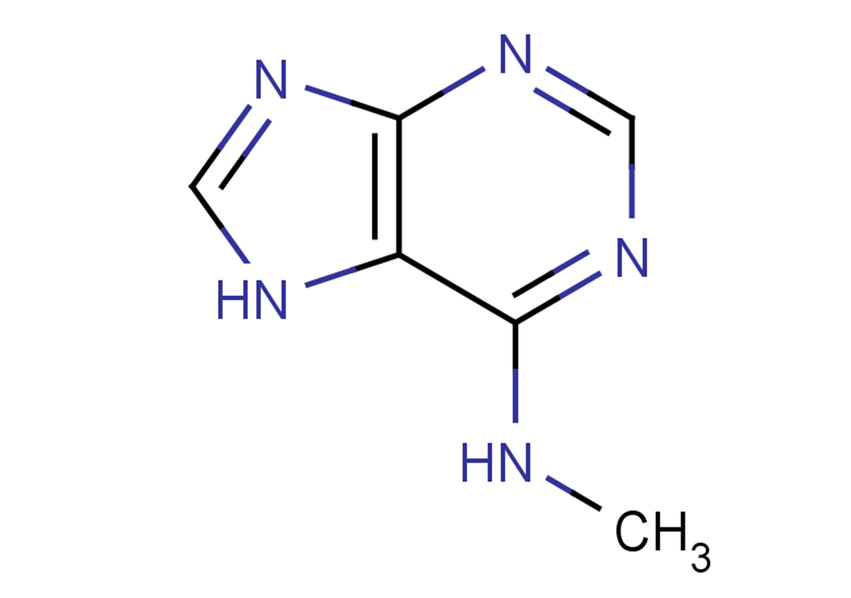 N6-MethyladenineͼƬ