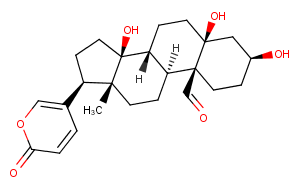 HellebrigeninͼƬ