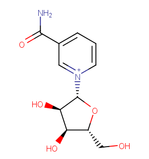 Nicotinamide ribosideͼƬ