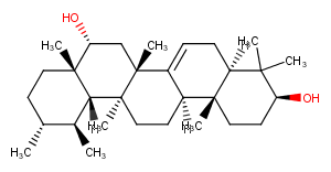 16alpha-HydroxybauerenolͼƬ