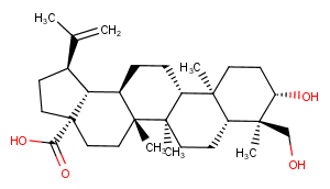 23-Hydroxybetulinic acidͼƬ