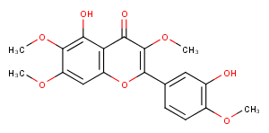 CasticinͼƬ