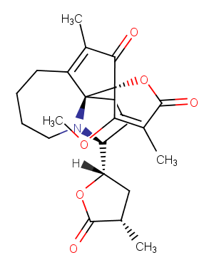 ProtostemotinineͼƬ