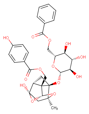 BenzoyloxypaeoniflorinͼƬ