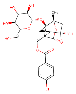 OxypaeoniflorinͼƬ