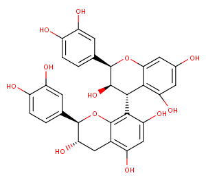 Procyanidin B1ͼƬ