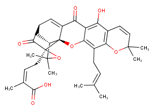 Morellic acid图片