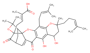 Neogambogic acidͼƬ