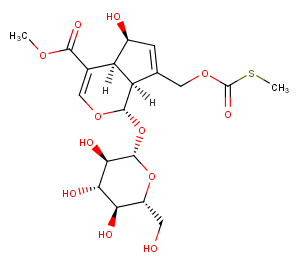 paederosidic acid methyl esterͼƬ