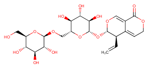 6'-O-beta-D-GlucosylgentiopicrosideͼƬ