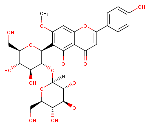 SpinosinͼƬ