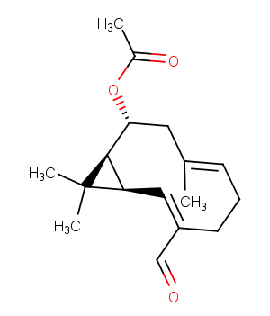 Heishuixiecaoline AͼƬ