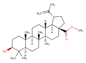 Betulinic Acid methyl esterͼƬ