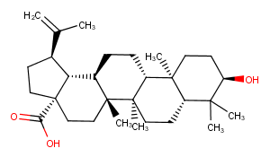 Epibetulinic acidͼƬ