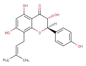 NeophellamuretinͼƬ