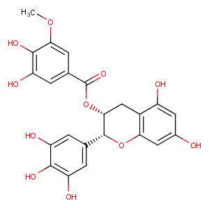 (-)-Epigallocatechin-3-(3''-O-methyl)gallateͼƬ