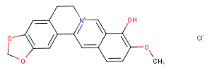 Berberrubine chlorideͼƬ