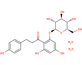 Phlorizin dihydrateͼƬ