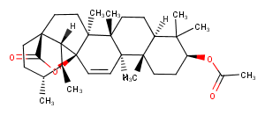 3-Acetoxy-11-ursen-28,13-olideͼƬ