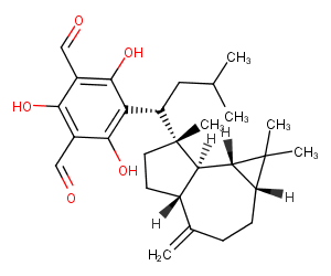 Macrocarpal CͼƬ