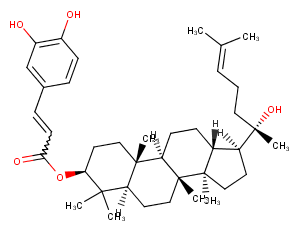 Dammarenediol II 3-O-caffeateͼƬ