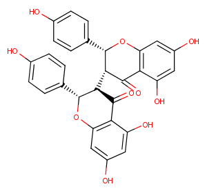 Neochamaejasmine BͼƬ