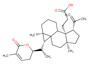 Schisanlactone EͼƬ