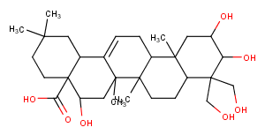 PlaticodigeninͼƬ