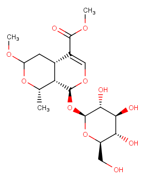 7-O-Methyl morroniside图片