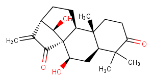 Glaucocalyxin AͼƬ