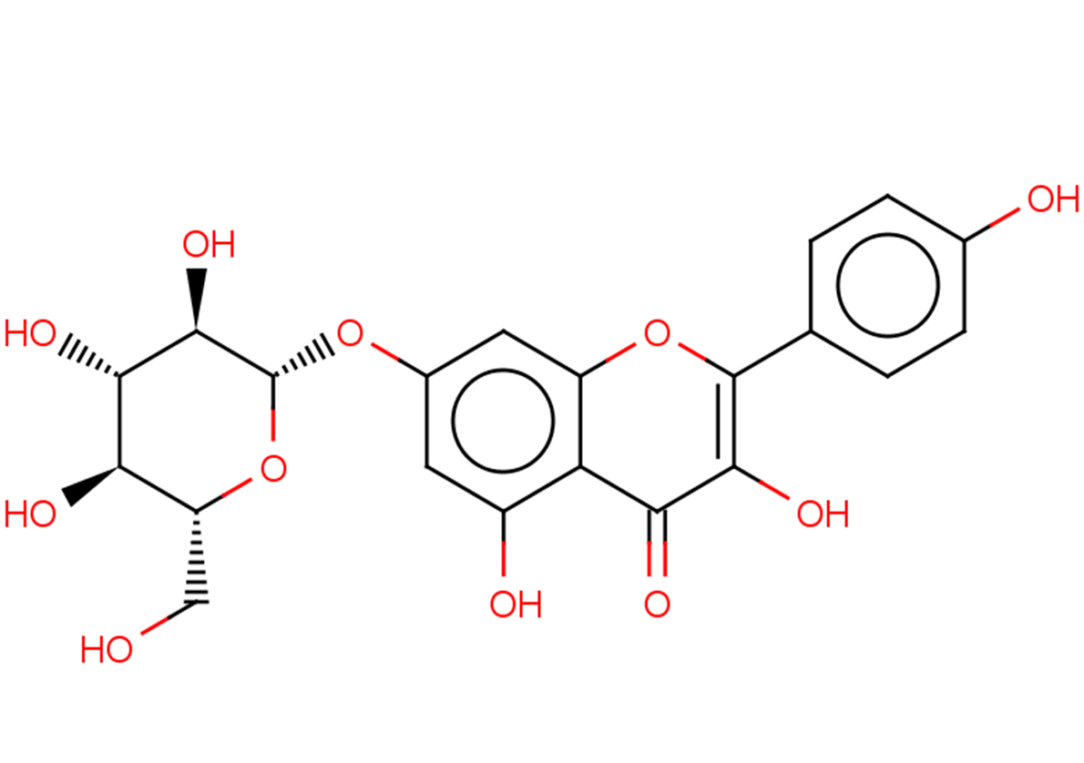 Kaempferol-7-O--D-glucopyranosideͼƬ