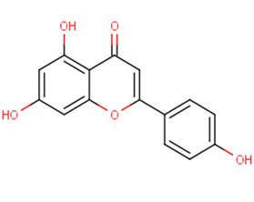 ApigeninͼƬ