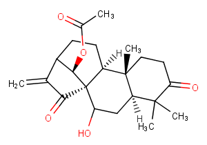 Glaucocalyxin BͼƬ