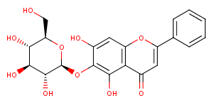 Baicalein 6-O-glucosideͼƬ