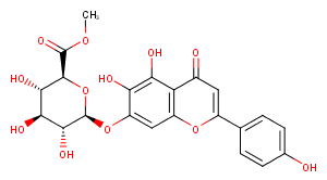 Scutellarin methyl esterͼƬ