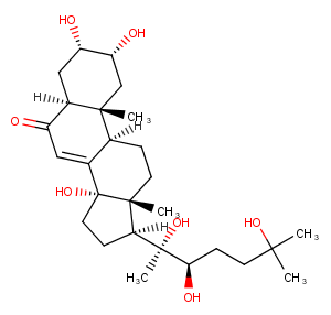 Rhapontisterone B图片