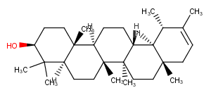 PseudotaraxasterolͼƬ