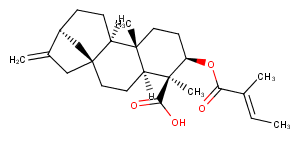 ent-3Beta-Tigloyloxykaur-16-en-19-oic acidͼƬ