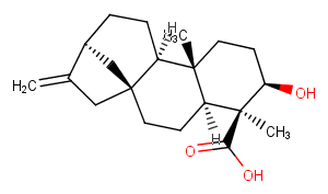 ent-3beta-Hydroxykaur-16-en-19-oic acidͼƬ