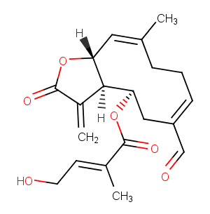 Eupahualin CͼƬ