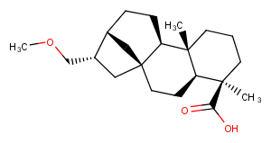 Siegesmethyletheric acidͼƬ