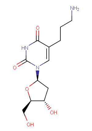 Steviol-19-O-glucosideͼƬ