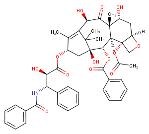 7-Epi 10-desacetyl paclitaxelͼƬ