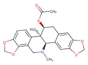 AcetylcorynolineͼƬ