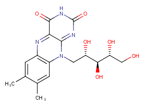 RiboflavinͼƬ