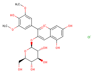 Malvidin-3-glucoside chlorideͼƬ