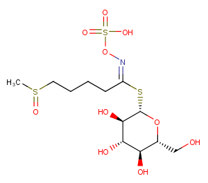 GlucoraphaninͼƬ