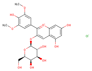 Malvidin-3-galactoside chlorideͼƬ