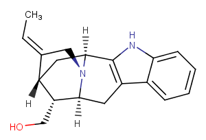 16-EpikoumidineͼƬ