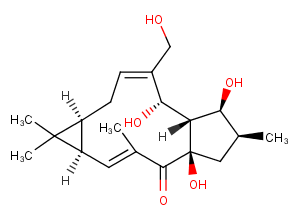 17-HydroxyisolathyrolͼƬ